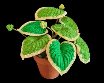 Crochetez facilement votre propre plante hosta réaliste ! Modèle PDF facile avec tutoriel vidéo
