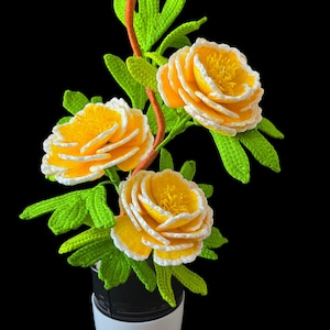 Easy Crochet Peony Flower Pattern PDF | DIY Floral Crochet Decor | Instant Digital Download with Partial Video Guide