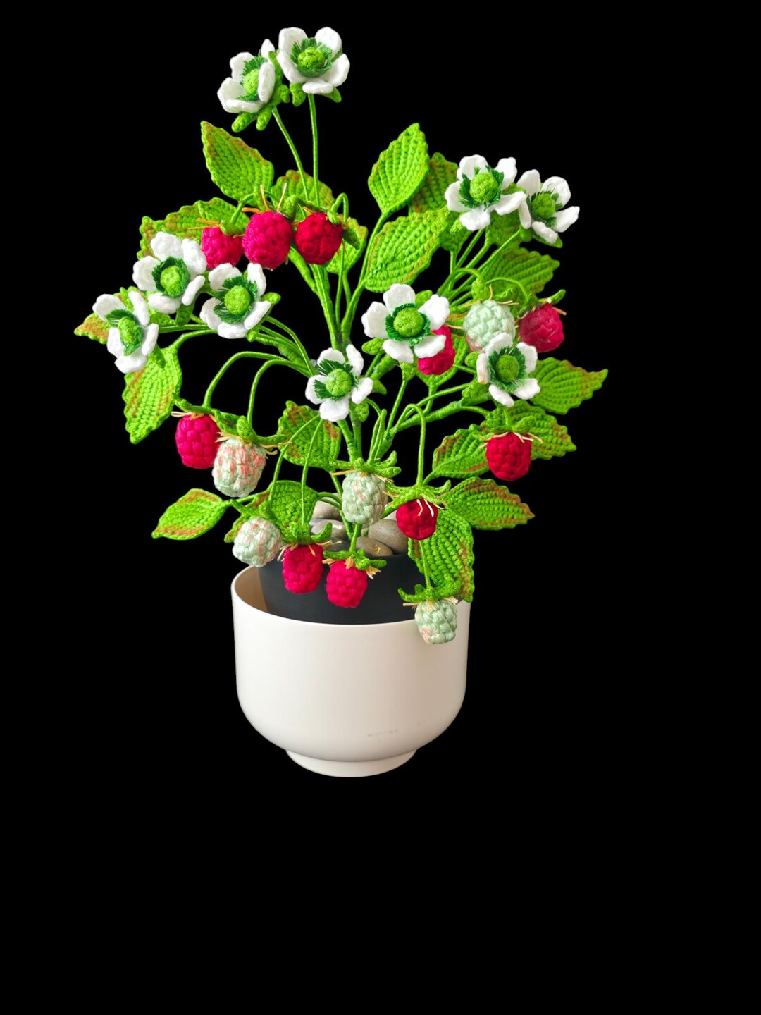 Easy Crochet Raspberry Easy Crochet Raspberry Plant Pattern | DIY Home Decor (digital PDF) - Etsy