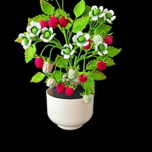 Easy Crochet Raspberry Plant Pattern PDF | DIY Succulent Crochet Decór | Instant Digital Download | No Physical Product