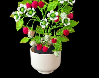 Easy Crochet Raspberry Plant Pattern | DIY Home Decor (Digital PDF)