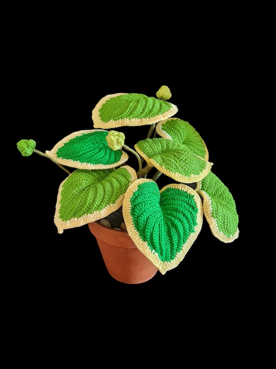 Easy Crochet Your Own Realistic Hosta Plant! Easy PDF Pattern With