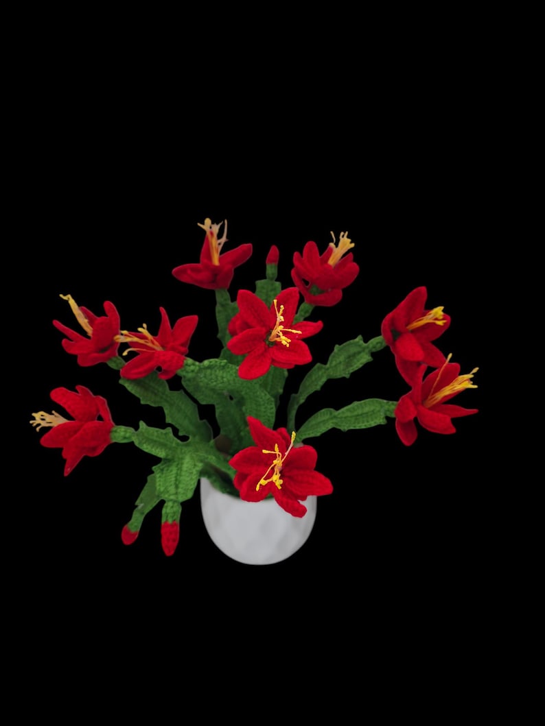 May include: A handcrafted crochet flower arrangement featuring vibrant red blooms with yellow stamens and green leaves, presented in a white ceramic pot. The flowers are set against a black background, highlighting the detailed craftsmanship.