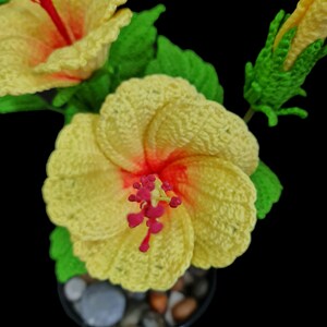 May include: A crocheted yellow hibiscus flower with a red centre, in a small pot with stones. The flower is in bloom and has a green stem and leaves.