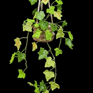 Könnte beinhalten: Eine gehäkelte Hängepflanze mit grünen Blättern in einem beigefarbenen gehäkelten Topf. Die Pflanze hängt an einem beigefarbenen Seil.