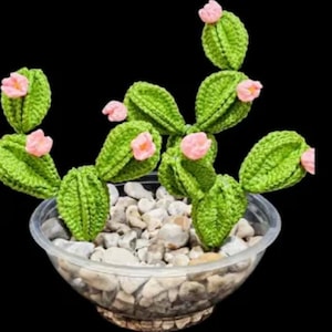 Easy Crochet Cactus Plant Pattern PDF | DIY Crochet Succulent Decor with Free Video Tutorial | Affordable Step-by-Step Guide