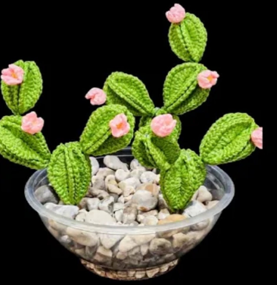 Easy Crochet Cactus Plant Pattern