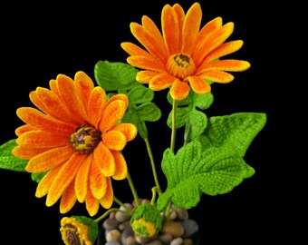 Modèle facile au crochet Barberton Daisy | Décoration florale DIY (Patron PDF)