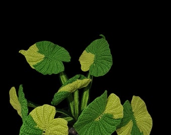 Einfaches häkeln Sie buntes Alocasia-Pflanzenmuster | DIY Blatt Decor (PDF-Muster)