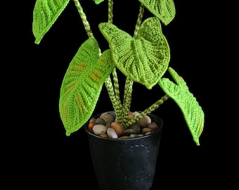 Motif de feuilles d'oreilles d'éléphant au crochet facile | Plante zébrine à faire soi-même (patron PDF)