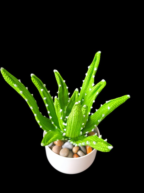 aloe vera toilet paper 120 Rolls 3-Ply Aloe Vera Toilet Paper