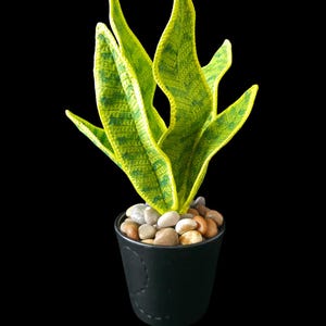 Easy Crochet Snake Plant Pattern PDF | DIY Amigurumi Succulent Decor | Instant Digital Download with Partial Video Guide