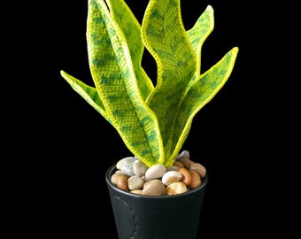 Easy Crochet Snake Plant Pattern PDF | DIY Amigurumi Succulent Decor | Instant Digital Download with Partial Video Guide