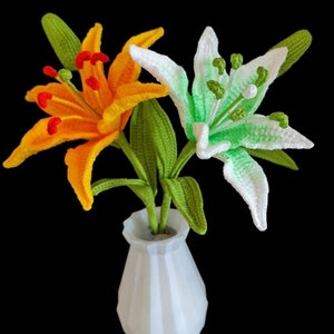 Eenvoudig gehaakt dromerleliebloemenpatroon pdf | DIY-gehaakt bloemendecor met gratis videotutorial | Betaalbare stapsgewijze handleiding