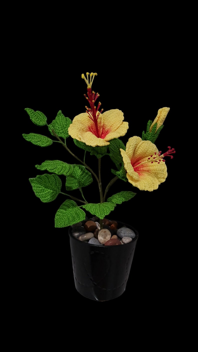 May include: A crocheted yellow hibiscus plant with red centres in a black pot with small grey stones.