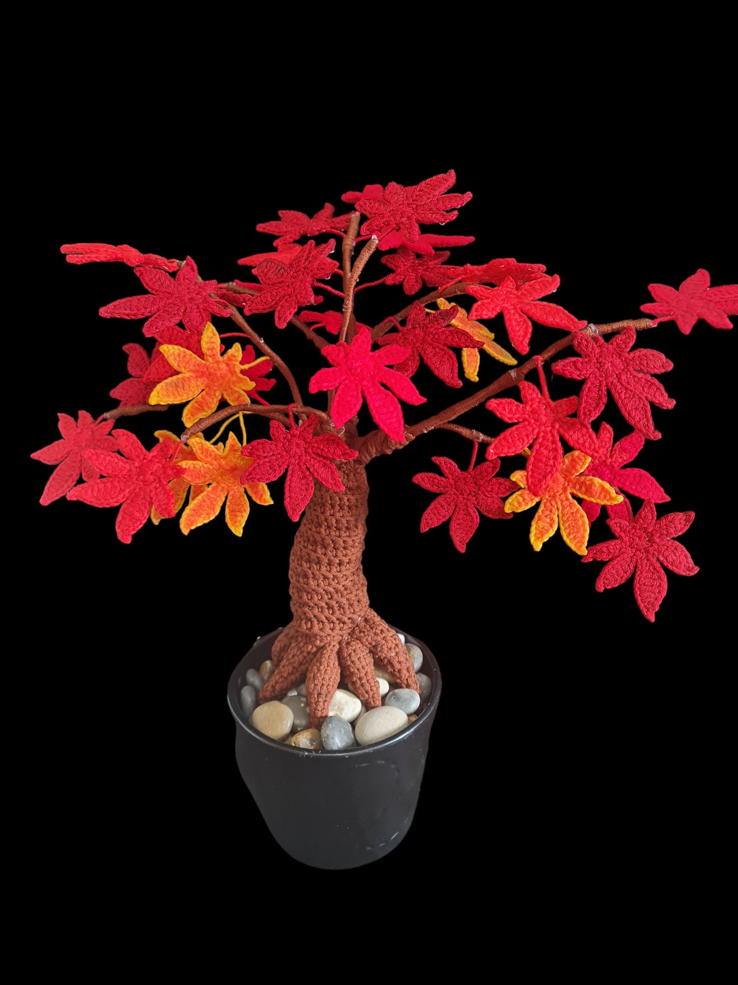 japanischer spindelstrauch bonsai Japanischer Spindelstrauch - Euonymus japonicus main image 1