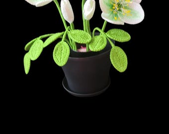 Schema facile per realizzare un fiore di elleboro all'uncinetto / Decorazione floreale fai da te (schema PDF)
