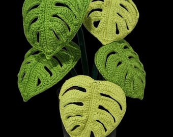 Crochet Monstera Swiss Cheese plant