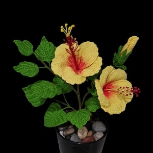 Einfaches Häkelmuster für Hibiskus/Schuhblume PDF | DIY häkeln Blumendekor mit kostenlose Video-Anleitung | Erschwingliche Schritt-für-Schritt-Anleitung