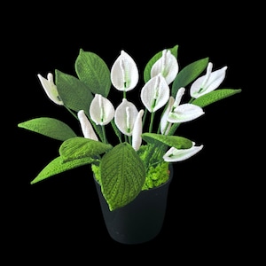 Może przedstawiać: Rustykalny drewniany znak z napisem "Welcome to our home" w białych literach. Znak ma postarzaną powierzchnię i prosty, zachęcający design, idealny do dekoracji wejścia.