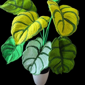 Könnte beinhalten: Eine gehäkelte Pflanze mit grünen und gelben Blättern in einem weißen Topf. Die Pflanze ist eine realistische Darstellung einer Zimmerpflanze.