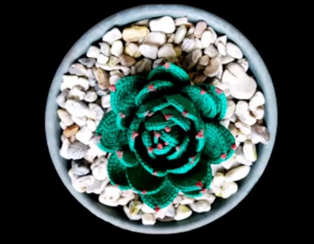 Easy Crochet Hen & Chicks Succulent Pattern | DIY Home Decor (PDF ...