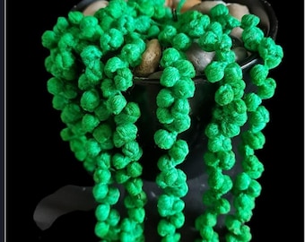 Easy Crochet String of Pearls Succulent Pattern | DIY Home Decor (PDF Pattern)