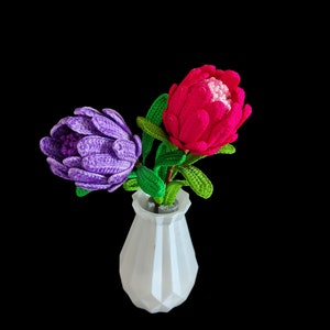 Einfaches Häkelmuster für Proteablumen PDF | DIY häkeln Blumendekor mit kostenlose Video-Anleitung | Erschwingliche Schritt-für-Schritt-Anleitung