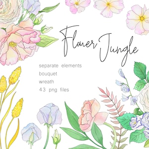 Imágenes prediseñadas de acuarela de flores ruborizadas. Separado. Ramo y Corona. Acuarela y Tinta. Rosas de peonías de color rosa suave. Arte lineal. Descarga digital. 99