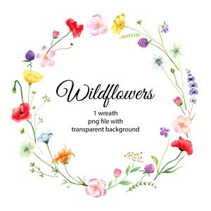 Clipart Couronne de fleurs sauvages aquarelle. Couronne florale botanique. Couronne de fleurs lumineuses png. Cadre peint à la main. png. Téléchargement instantané du fichier 92
