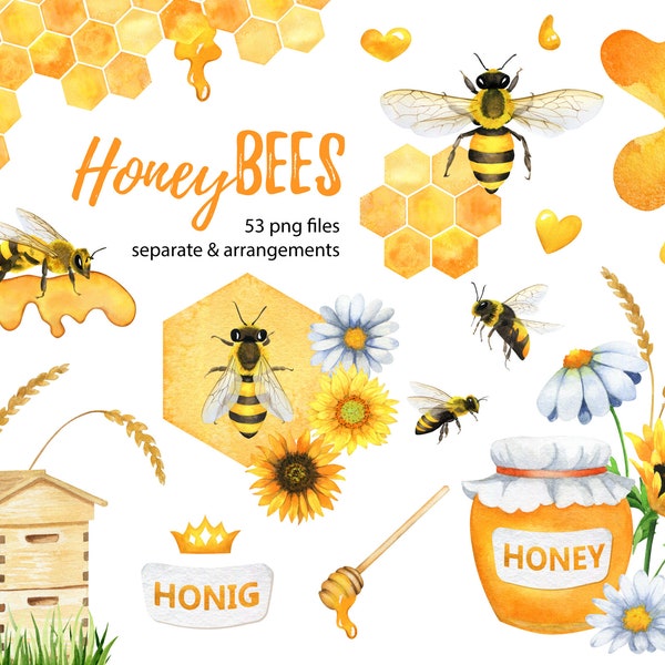 Honey Bee Watercolor Clipart, Honeybee Png, Honeycomb, Beehive, Spoon, Flowers, Hand Painting Watercolor, Instant File Download