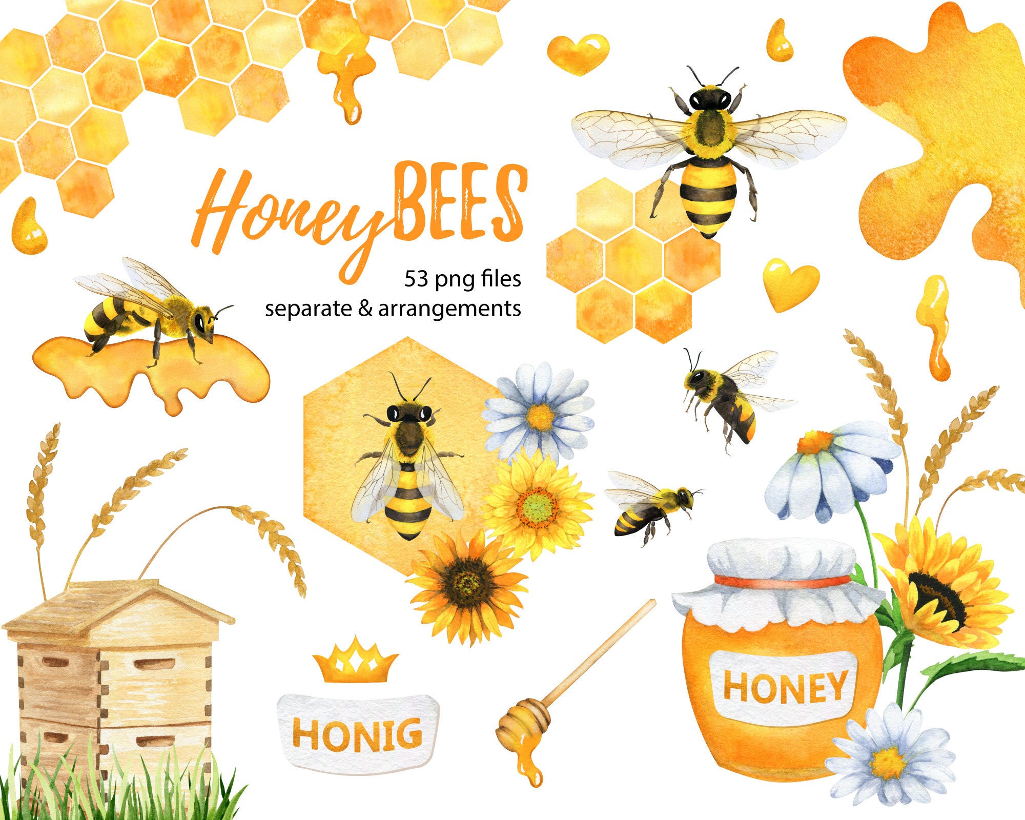Honey bee watercolor, Spring honey bee decor,Wildflowers png