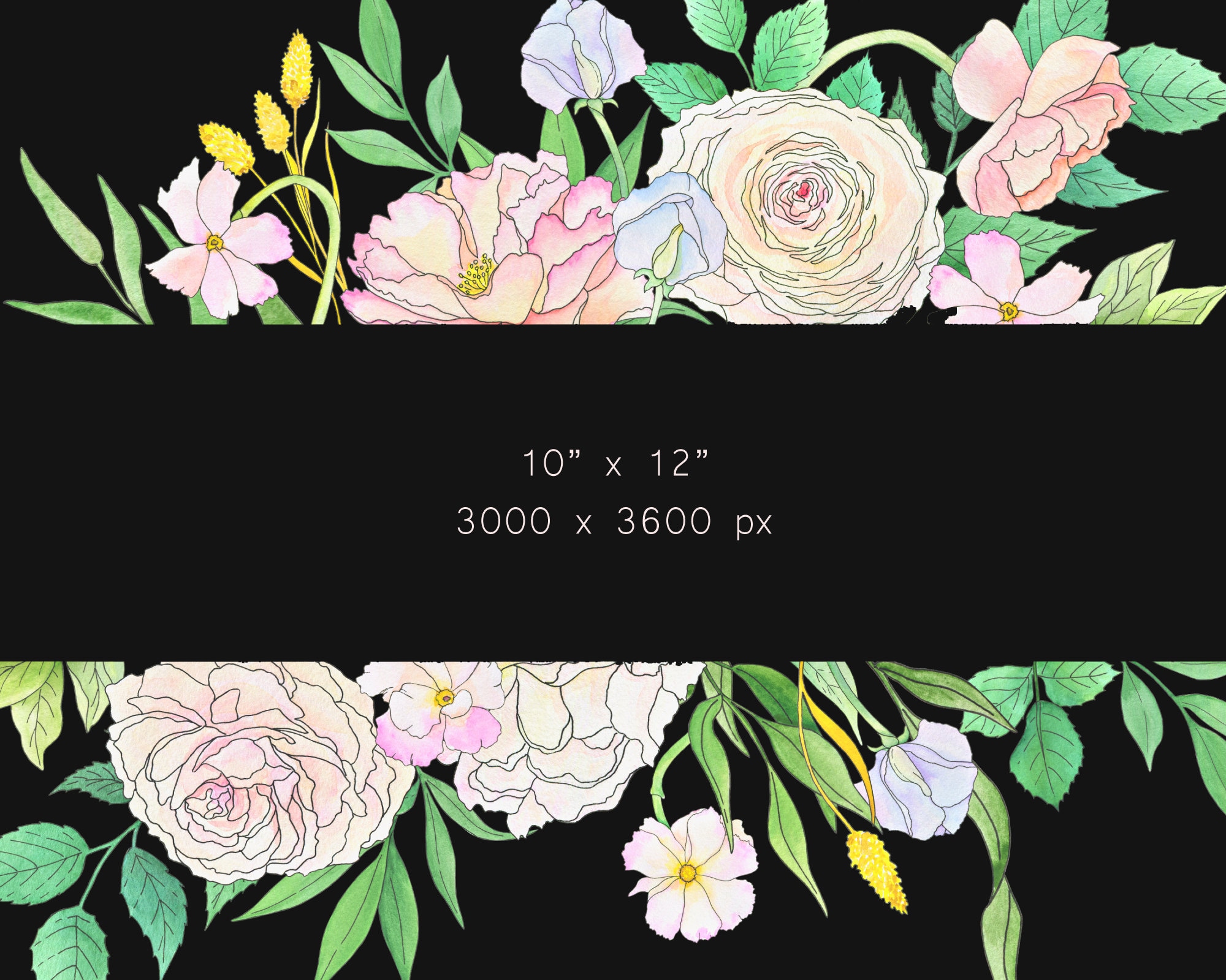 Floral Gentle Frame Border. Watercolor Peach Blush Dusty Soft Pink ...