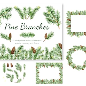 Puede incluir: Doce ilustraciones de acuarela pintadas a mano de ramas de pino con piñas y pequeñas luces blancas. Las ilustraciones están dispuestas en un diseño de corona, cuadrado y marco. El texto "Pine Branches" está escrito en una fuente decorativa en la parte superior de la imagen.