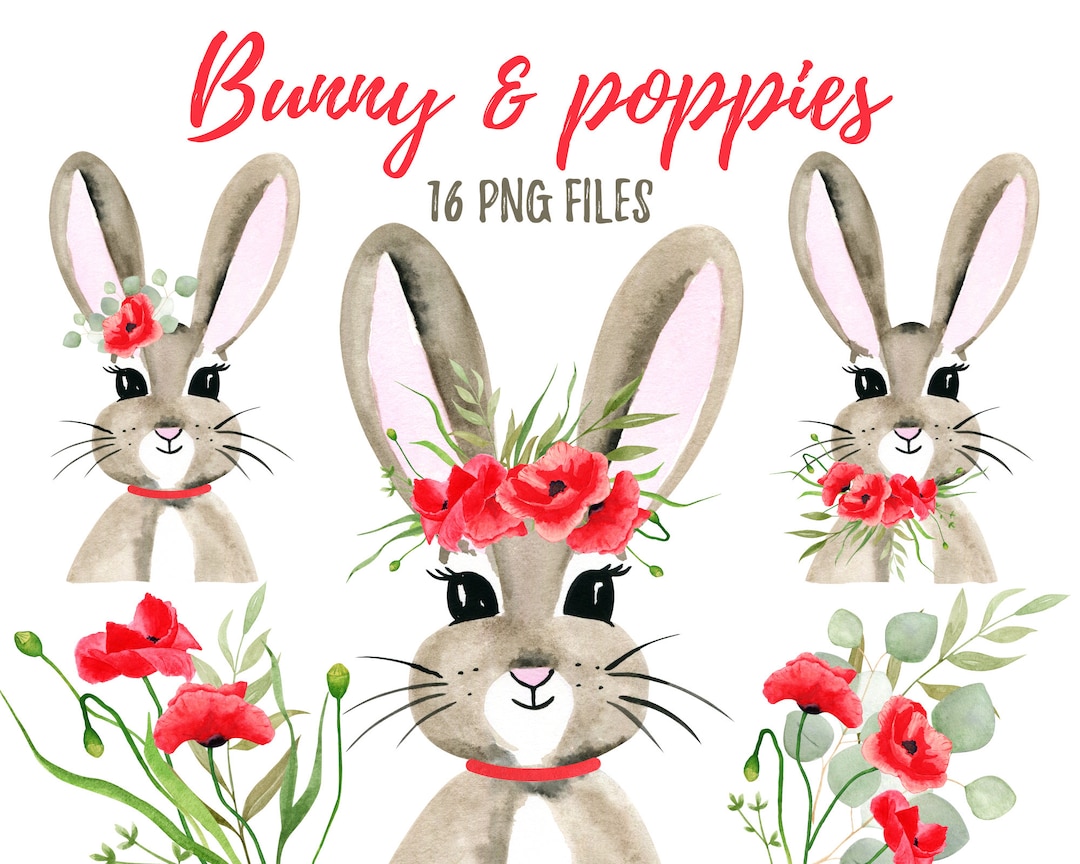 Bunny & Poppies Watercolor Clipart. Rabbit Girl With Flowers. Animals ...