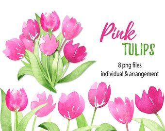 Clipart de acuarela de tulipanes rosas. Ramo de tulipanes. Imágenes prediseñadas de acuarela de flores. Imágenes prediseñadas de acuarela floral. Png, Descarga instantánea de archivos