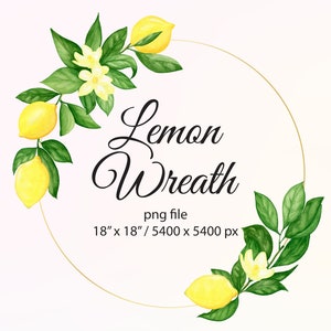 Couronne de citron. Cadre citron PNG. Clipart aquarelle de citrons. Aquarelle lumineuse aux agrumes jaunes. Téléchargement instantané du fichier, 33