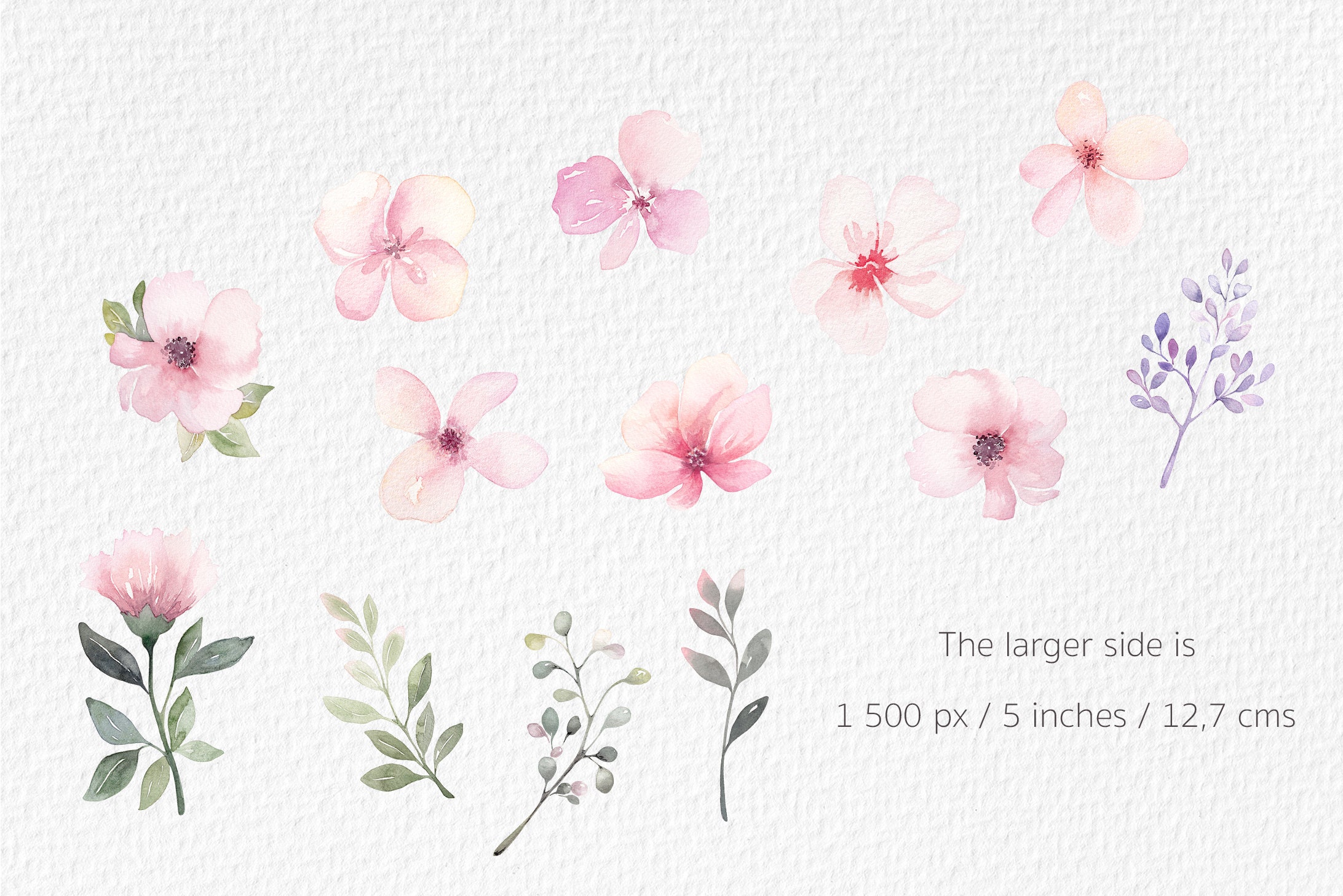Floral Butterfly Watercolor Clipart PNG - Butterfly Bundle ...