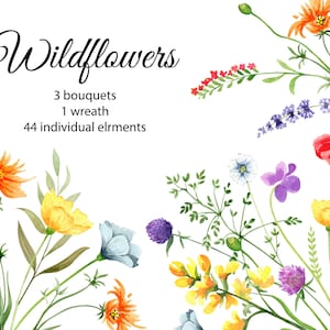 Clipart de aquarela de flores silvestres. Brilhante Floral Primavera Verão Flores Silvestres Png. Clipart de prado. Grinalda, buquê, download instantâneo de arquivo 92