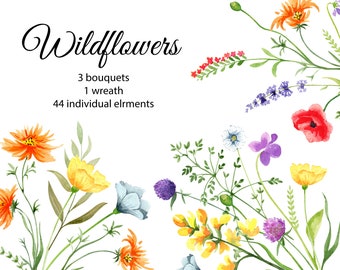 Wildflowers Watercolor clipart. Bright Floral Spring Summer Wildflower Png. Meadow Clipart. Wreath, Bouquet, Instant File Download 92
