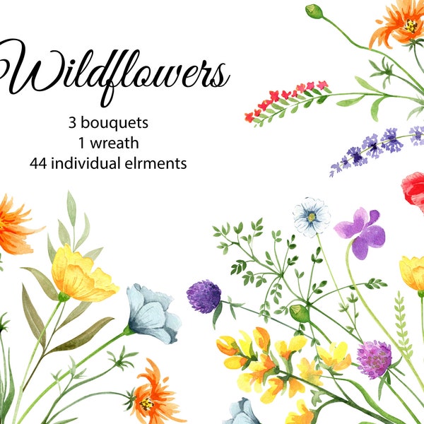 Wildflowers Watercolor clipart. Bright Floral Spring Summer Wildflower Png. Meadow Clipart. Wreath, Bouquet, Instant File Download 92