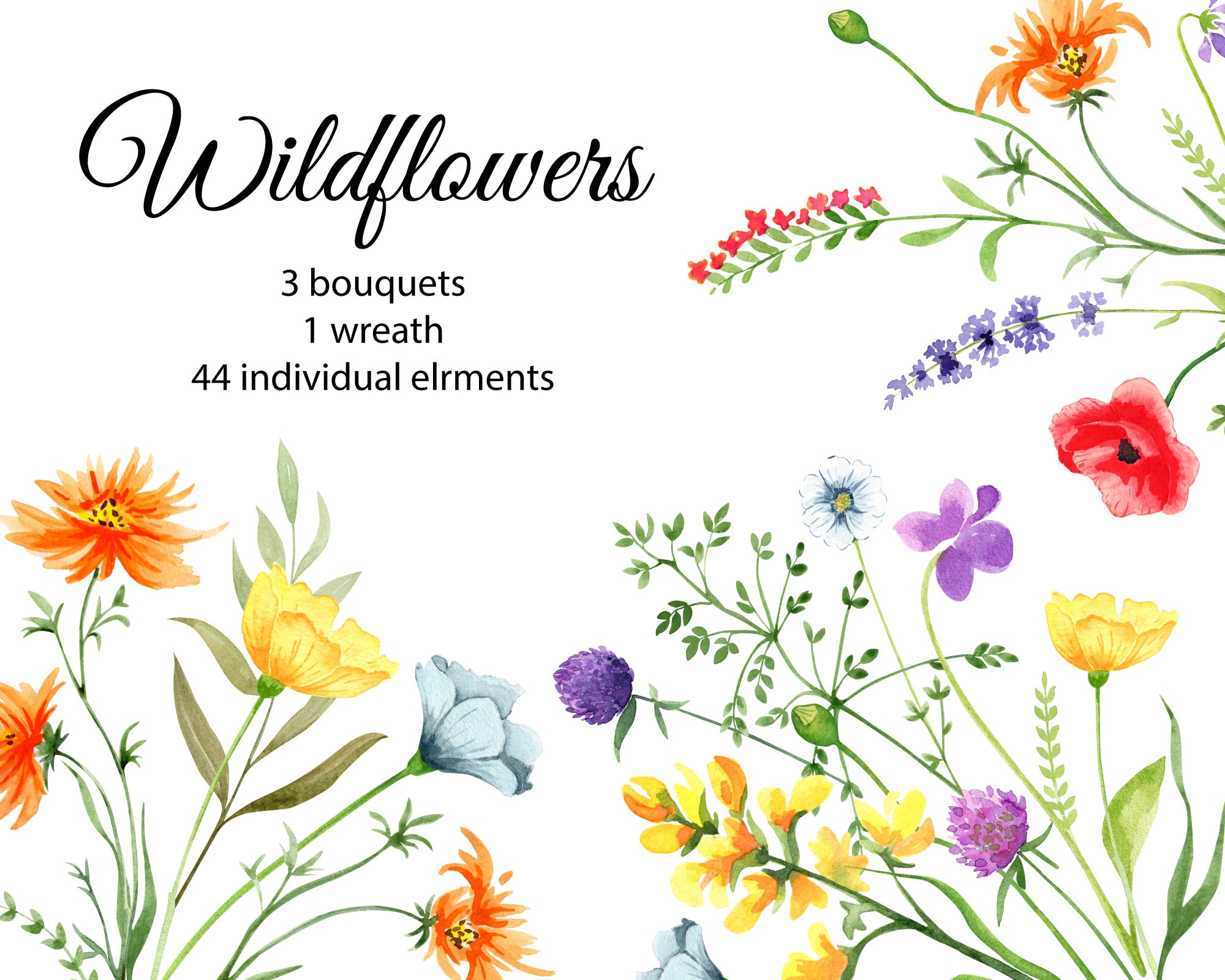 Wildblumen Aquarell Clipart Helle Blumen Fr hling Sommer Wildblumen wildblumen-aquarell-clipart-helle-blumen-fr-hling-sommer-wildblumen