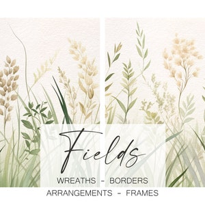 Clipart de flores silvestres secas e grama, buquês de prados, guirlandas, bordas, molduras, fundo de campo, clipart de ervas de verão, PNG, JPG, m12