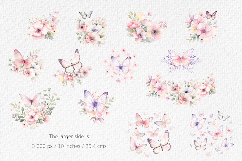 Floral Butterfly Watercolor Clipart PNG - Butterfly Bundle ...