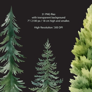Pu&ograve; includere: 31 illustrazioni ad acquerello di pini verdi con sfondi trasparenti. Gli alberi sono di varie dimensioni, il pi&ugrave; grande &egrave; alto 7 pollici o 2100 pixel e 18 centimetri.