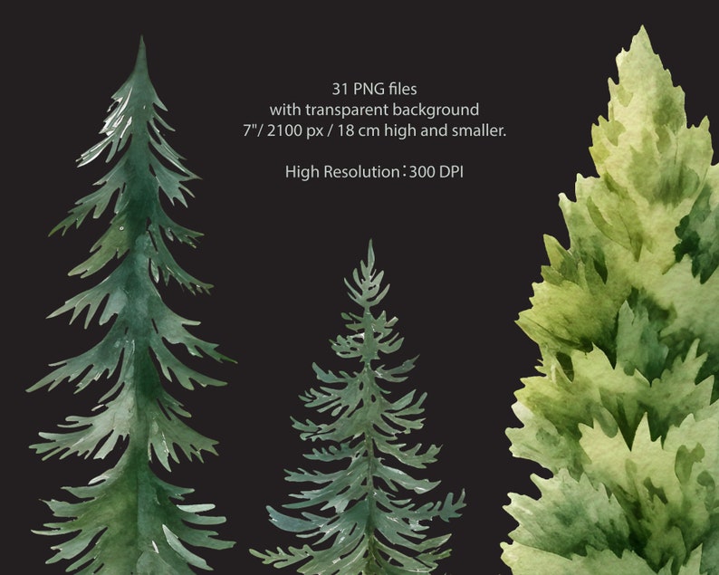 Pu&ograve; includere: 31 illustrazioni ad acquerello di pini verdi con sfondi trasparenti. Gli alberi sono di varie dimensioni, il pi&ugrave; grande &egrave; alto 7 pollici o 2100 pixel e 18 centimetri.