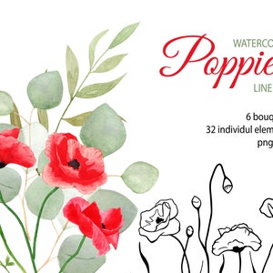 Mohn Aquarell und Line Art Clipart. Rote Blumen Clipart. Botanische Png, sofortiger Dateidownload