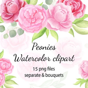 Pioen aquarel clipart. Roze bloemen clipart. Zachte zachte bloemen. Directe bestandsdownload, png