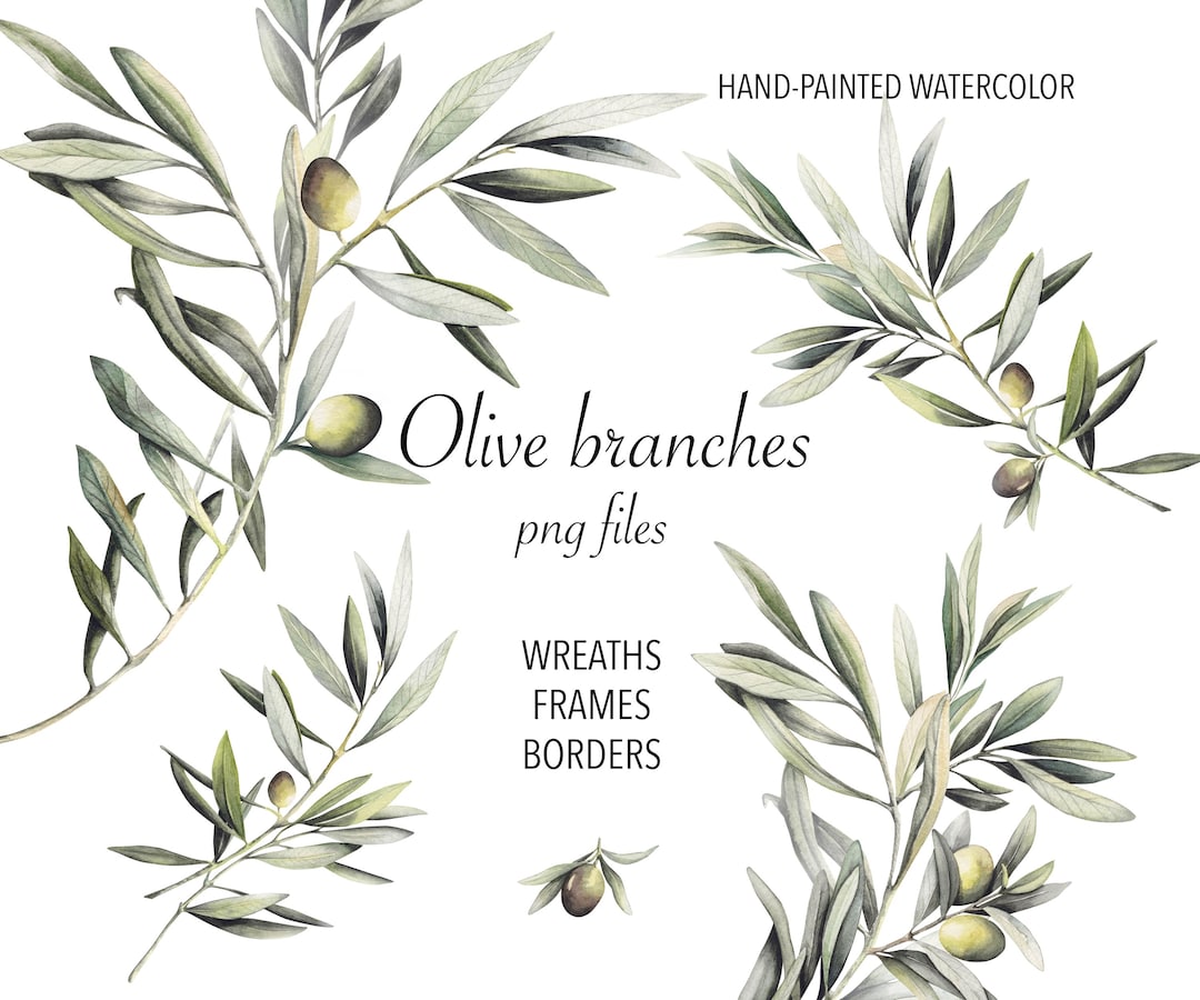 Watercolor Olive Branch Clipart Set - Olive Wreath, Frame, Border ...