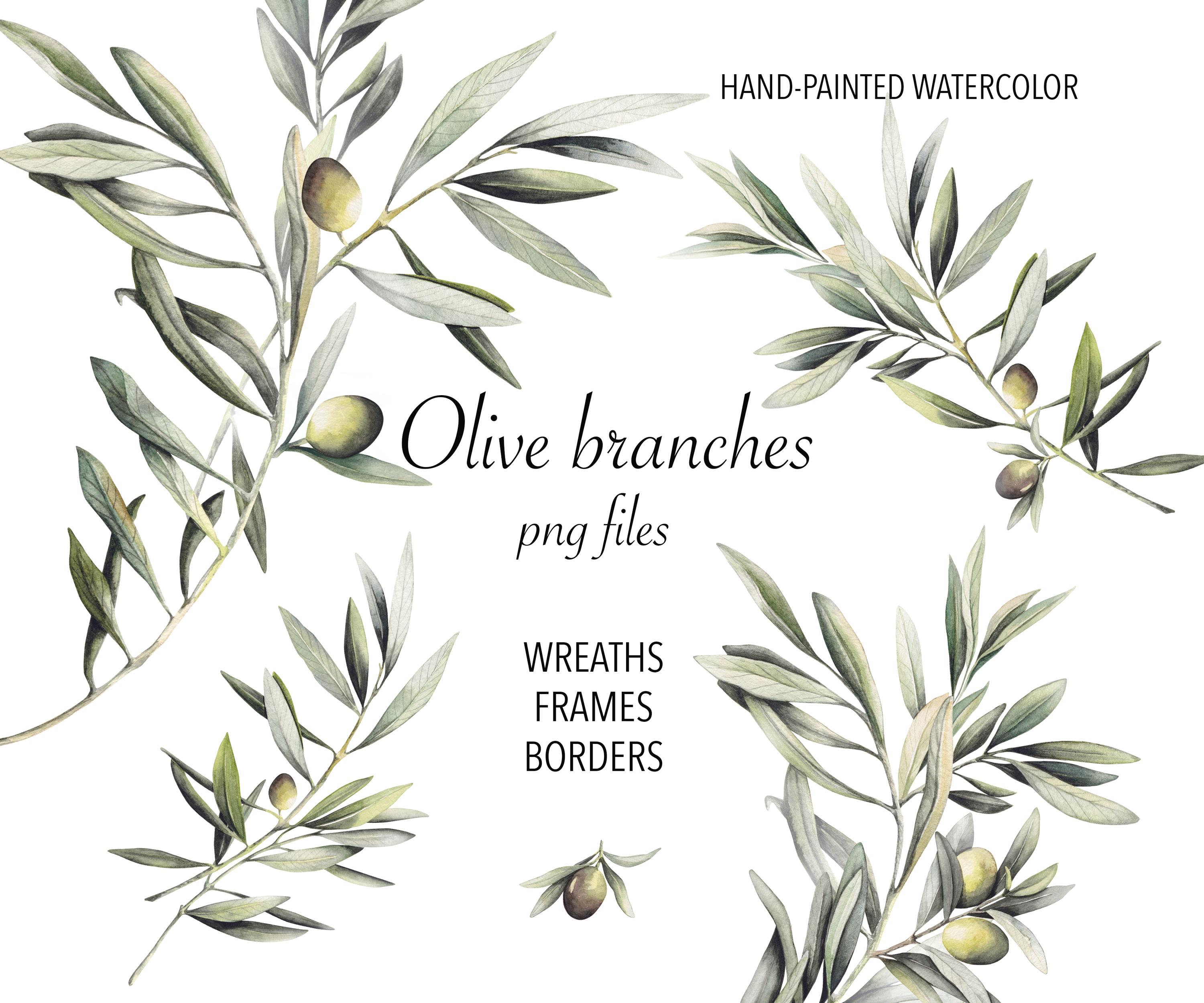 Watercolor Olive Branch Clipart Set - Olive Wreath, Frame, Border ...